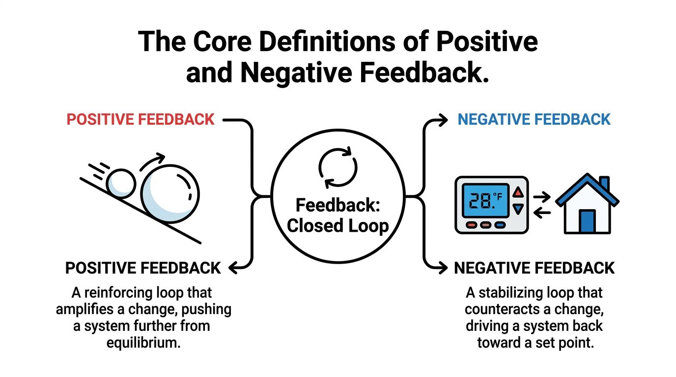 A diagram comparing positive feedback as a reinforcing loop and negative feedback as a stabilizing loop.
